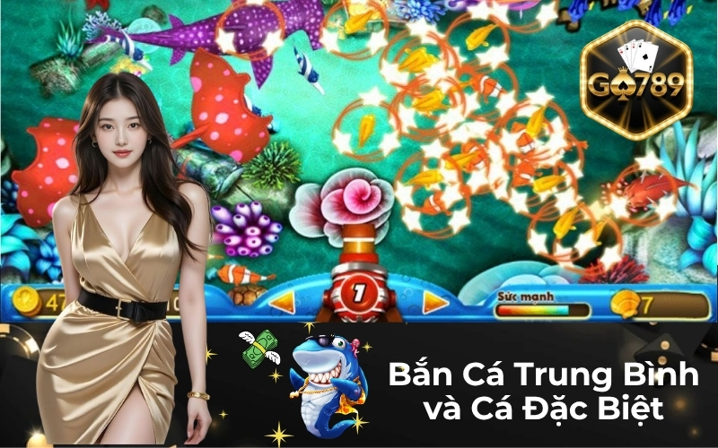 Bắn Cá Trung Bình và Cá Đặc Biệt