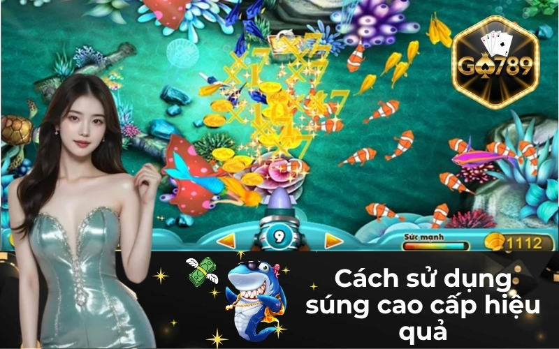 Cách sử dụng súng cao cấp hiệu quả